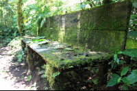 santa elena mossy seat 
 - Costa Rica