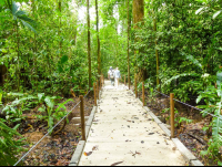 Two People Walking On Trails For Disabled At Carara National Park
 - Costa Rica