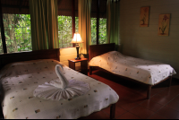 anhinga lodge rooms 
 - Costa Rica