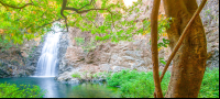 Swimming Hole Montezuma Lower Falls
 - Costa Rica