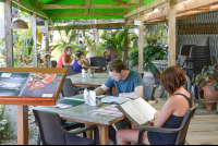 Il Giardino Restaurant Clients Reading The Menu
 - Costa Rica