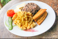 gallo pinto costa rica typical breakfast 
 - Costa Rica