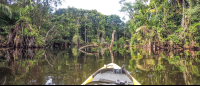 tortuguero destination kayak 
 - Costa Rica