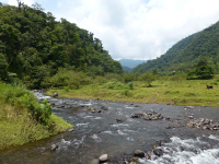 crossing childrens ete rnfrst final river 
 - Costa Rica