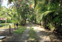 sibu hotel path 
 - Costa Rica