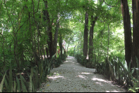 walking yoga institute grounds 
 - Costa Rica