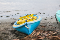 Kayak Platanares Mangroves In Puerto Jimenez
 - Costa Rica