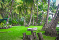 La Leona Beach Patio Costa Rica
 - Costa Rica