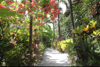 upper deck hotel belvedere 
 - Costa Rica