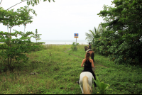 jungle beach horseback tour beach entrance 
 - Costa Rica