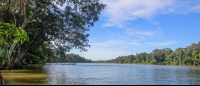 tortuguero national park attraction penetencia river 
 - Costa Rica