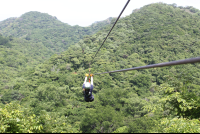 lady glides away
 - Costa Rica