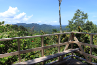 kekoldi reserve attraction birdwatching tower 
 - Costa Rica