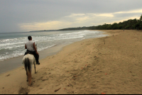 terraventuras beach horseback ride cocles beach 
 - Costa Rica