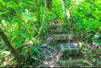 Trail Steps
 - Costa Rica