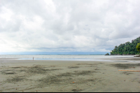 violin island beach trip from sierpe 
 - Costa Rica