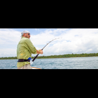 fishing in parismina 
 - Costa Rica