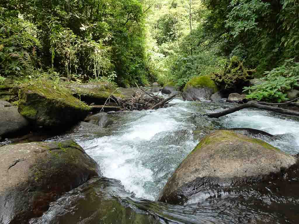 crossing childrens ete rnfrst rapids 
 - Costa Rica