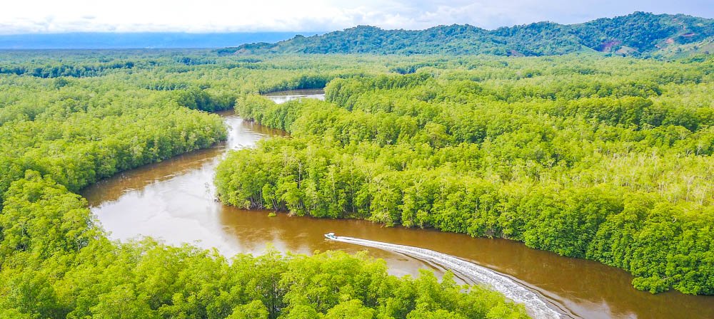 sierpe wetlands aerial views 
 - Costa Rica