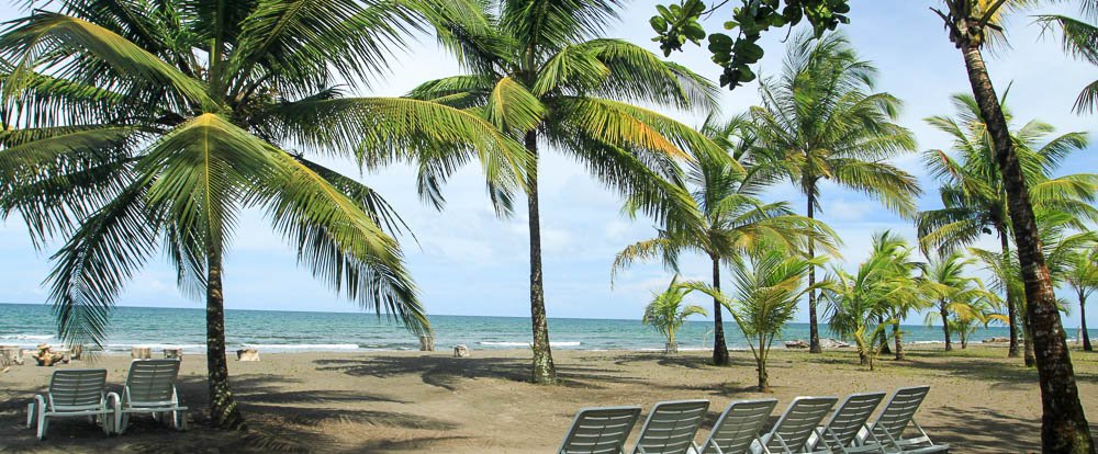 turtle beach lodge beach 
 - Costa Rica