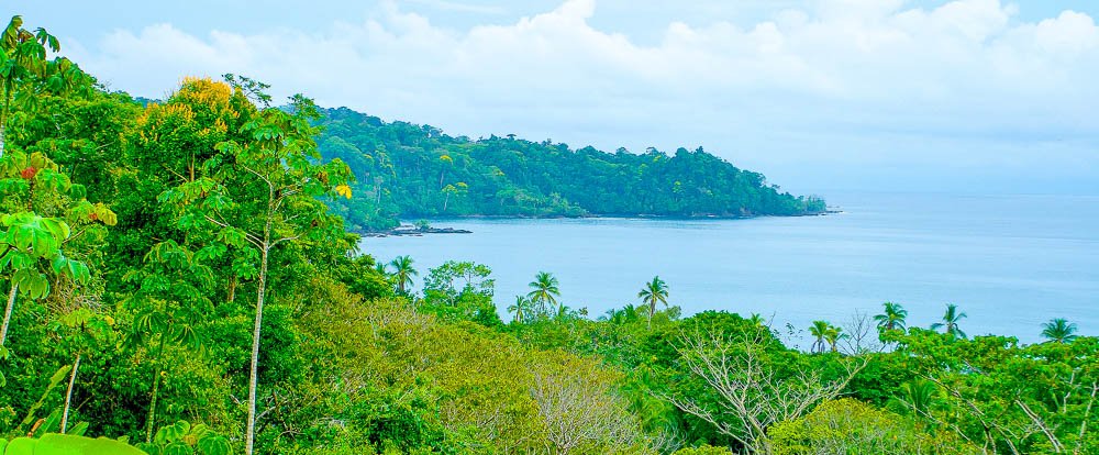 drake bay verdant coastline
 - Costa Rica