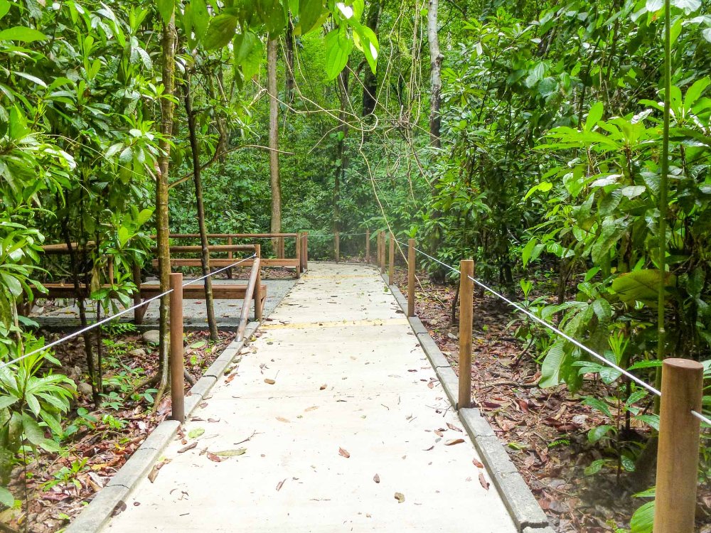 trail for disables at carara national park
 - Costa Rica