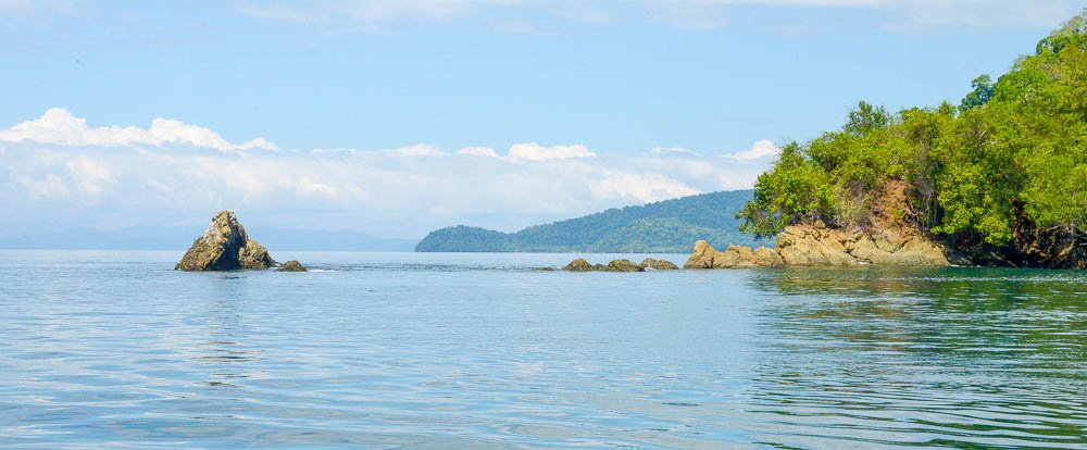 golfo dulce dolphin tour puerto jimenez
 - Costa Rica