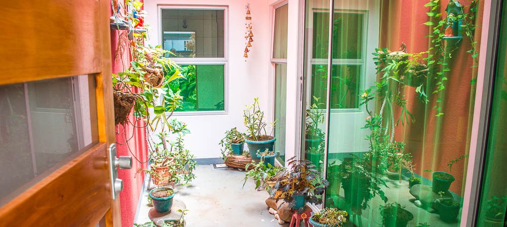 patio with plants moonlight apartment
 - Costa Rica