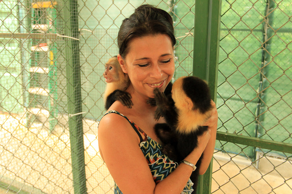 osa animal shelter blog dannia 
 - Costa Rica