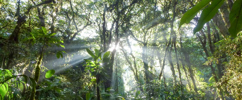 santa elena sunrise 
 - Costa Rica