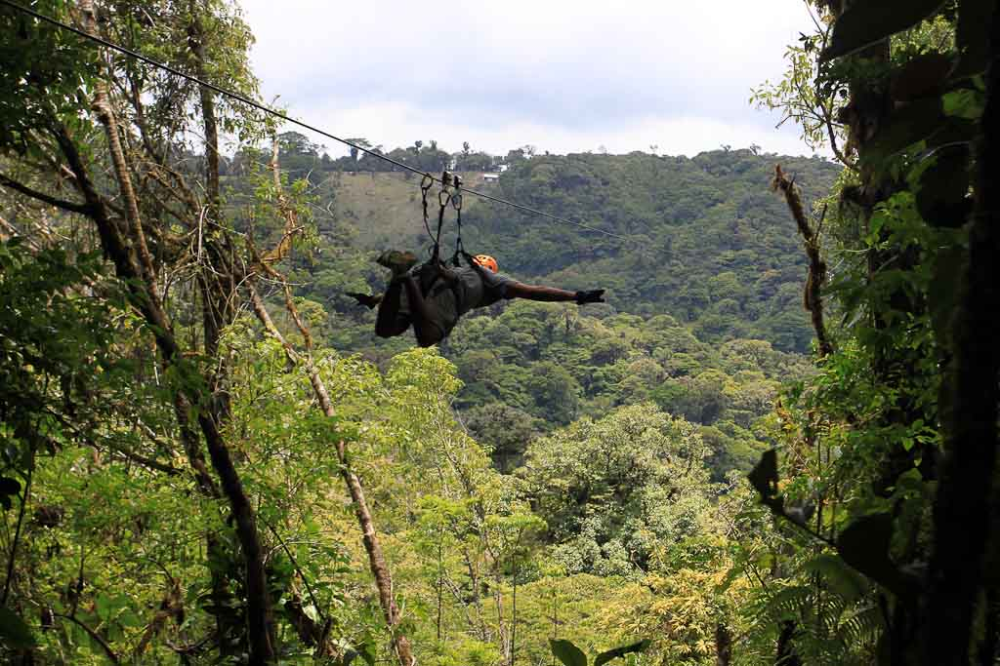 Swinging through the trees at 100 percent Aventura