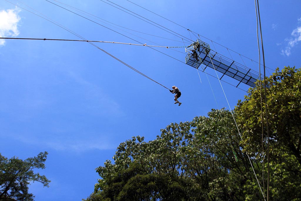  percent aventura tarzan bottom 
 - Costa Rica