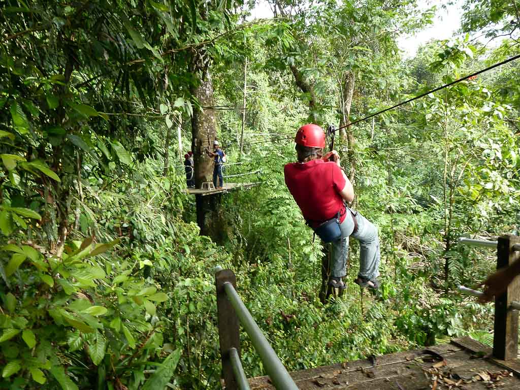 canopy tour sarapiqui mother
 - Costa Rica