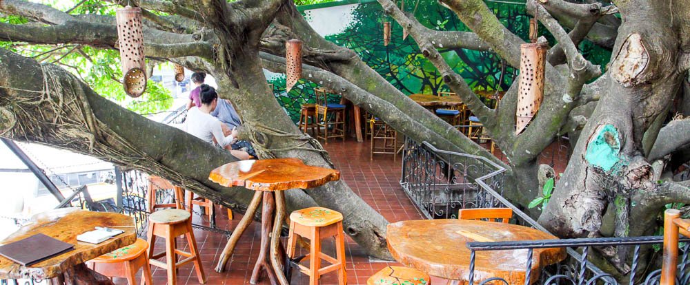 treehouse dining room 
 - Costa Rica