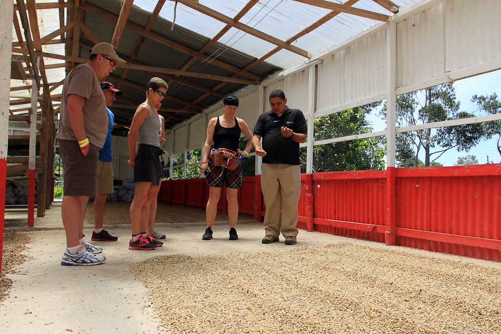 helaconia ranch learning about coffee 
 - Costa Rica