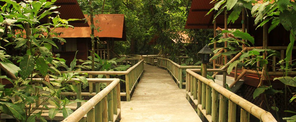 anhinga lodge path 
 - Costa Rica