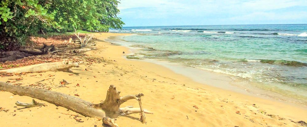 playa chiquita gold sand 
 - Costa Rica