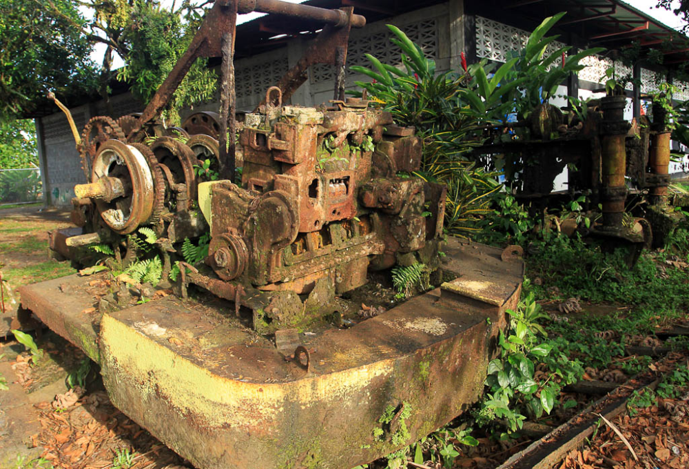 How conservation saved Tortuguero