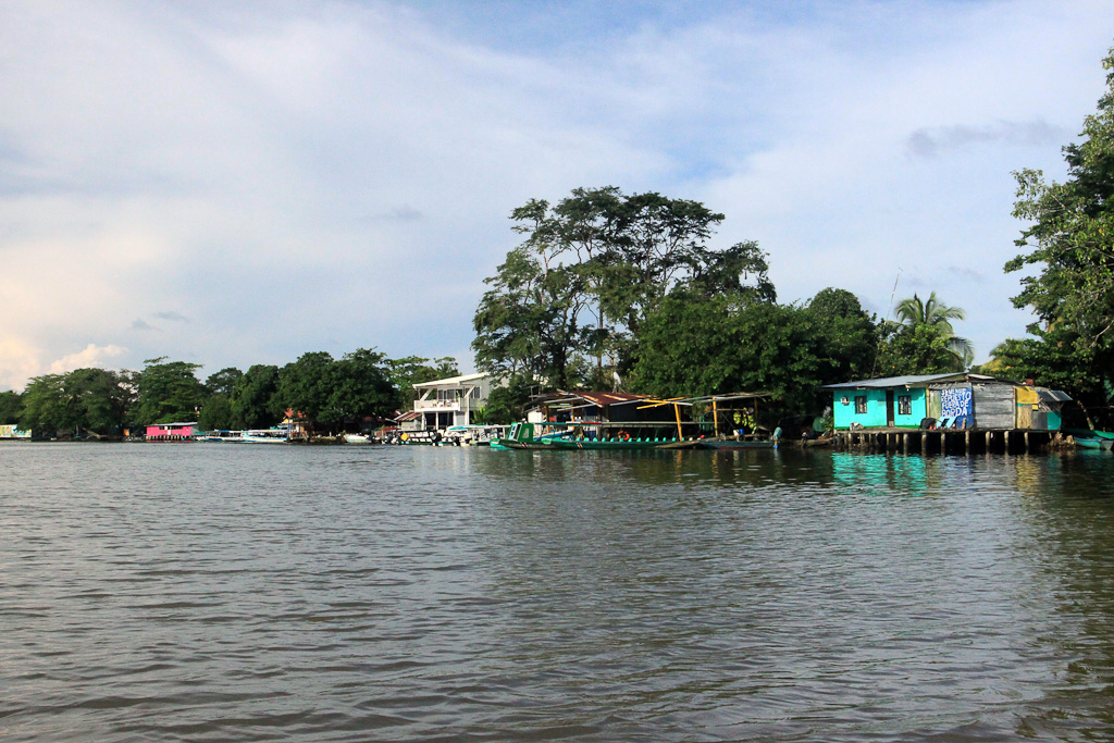 how conservation saved tortuguero blog tortuguero 
 - Costa Rica