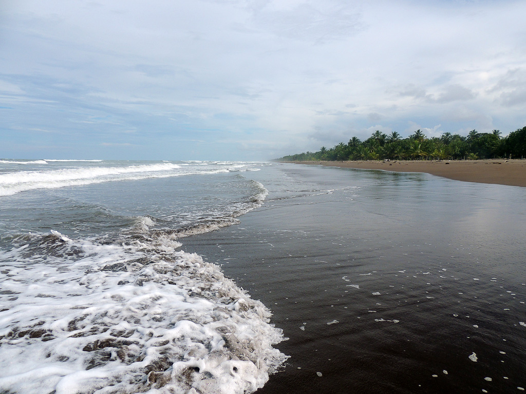 how conservation saved tortuguero blog beach 
 - Costa Rica