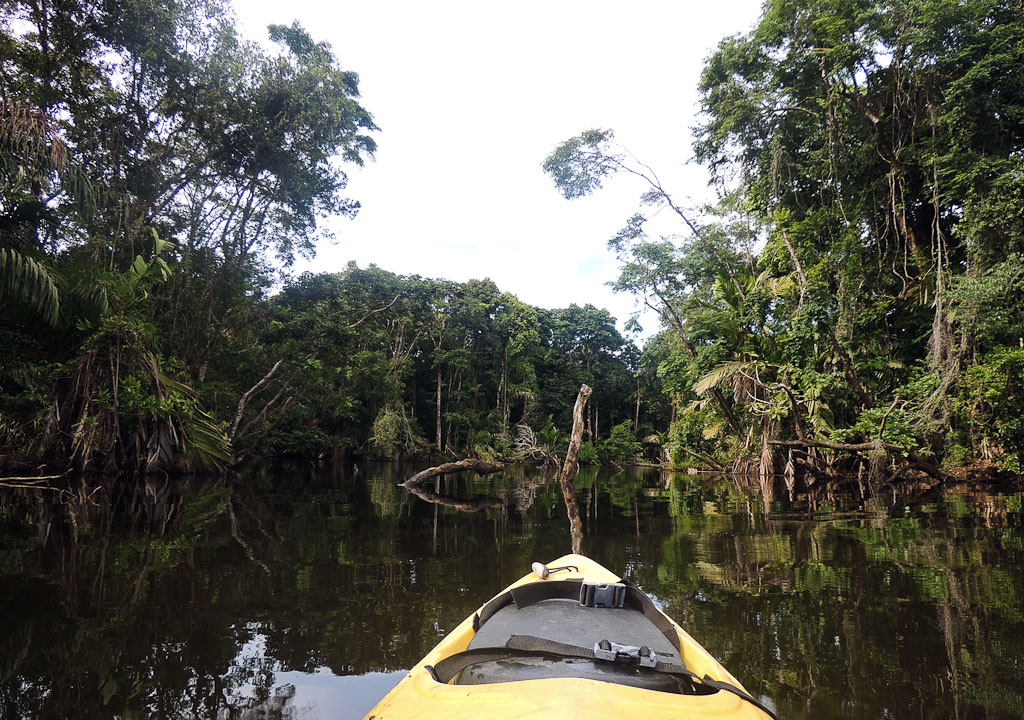 how conservation saved tortuguero blog lagoon 
 - Costa Rica