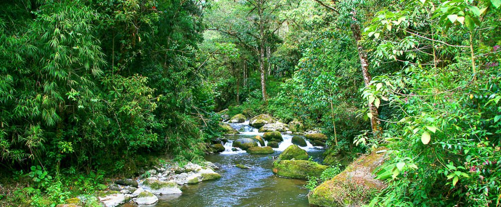 san gerardo de dota savegre river
 - Costa Rica