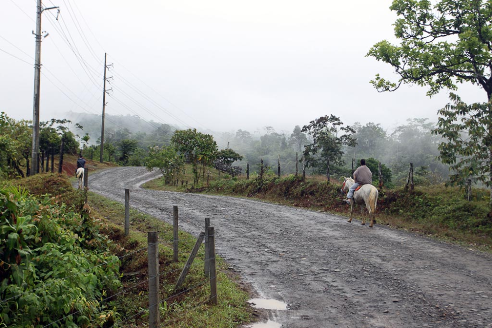 Seeing the Countryside on Horseback