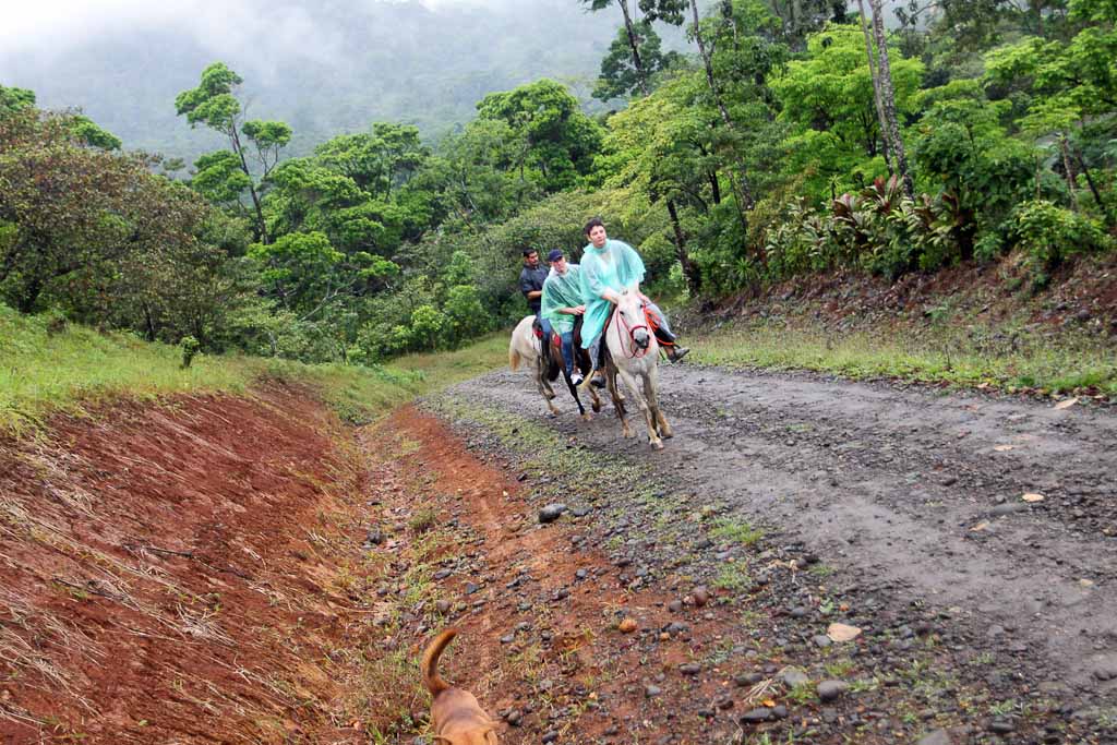 chachagua san juan 
 - Costa Rica