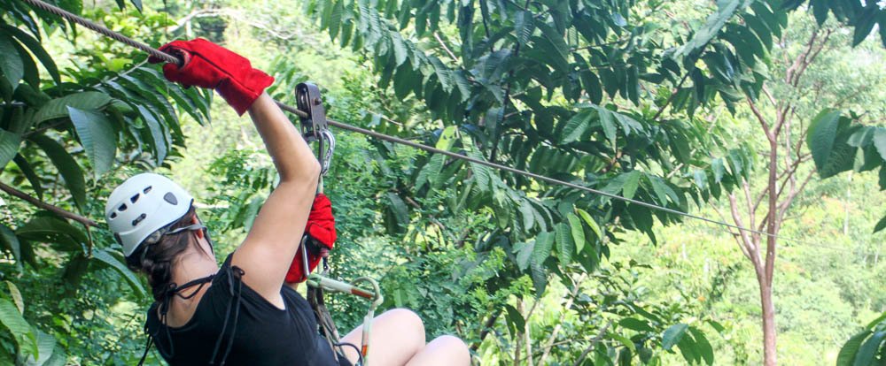 jungle adventure canopy 
 - Costa Rica