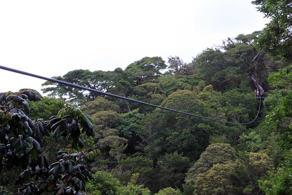 original canopy tour cable platform view 
 - Costa Rica