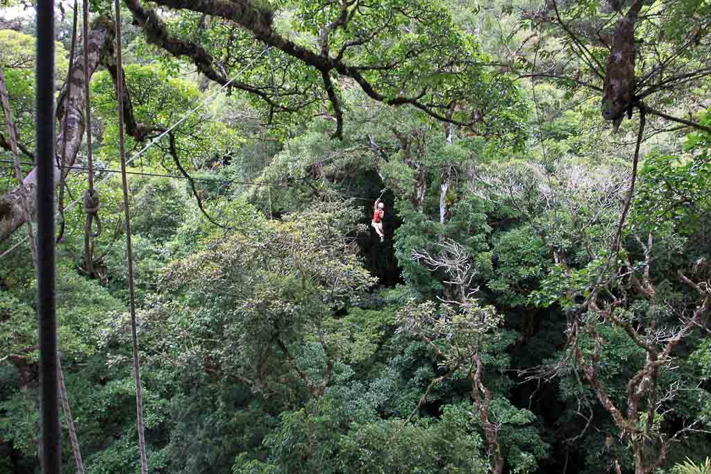 original canopy tour on cable 
 - Costa Rica