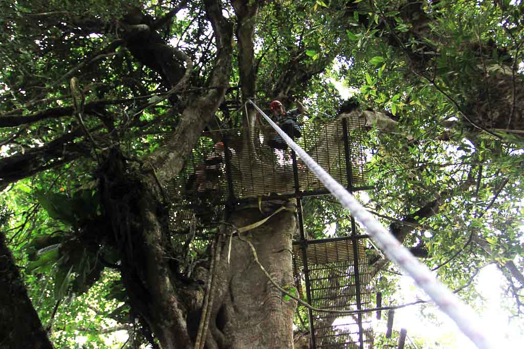 original canopy tour rappel 
 - Costa Rica