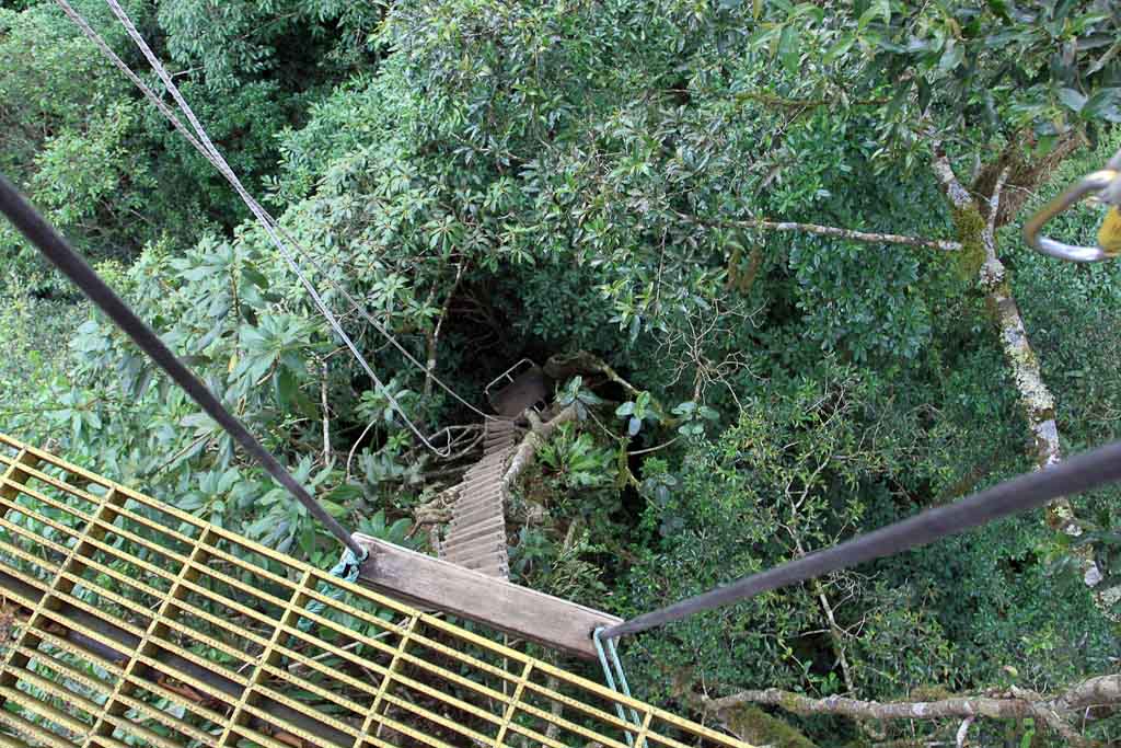 original canopy tour rope ladder 
 - Costa Rica