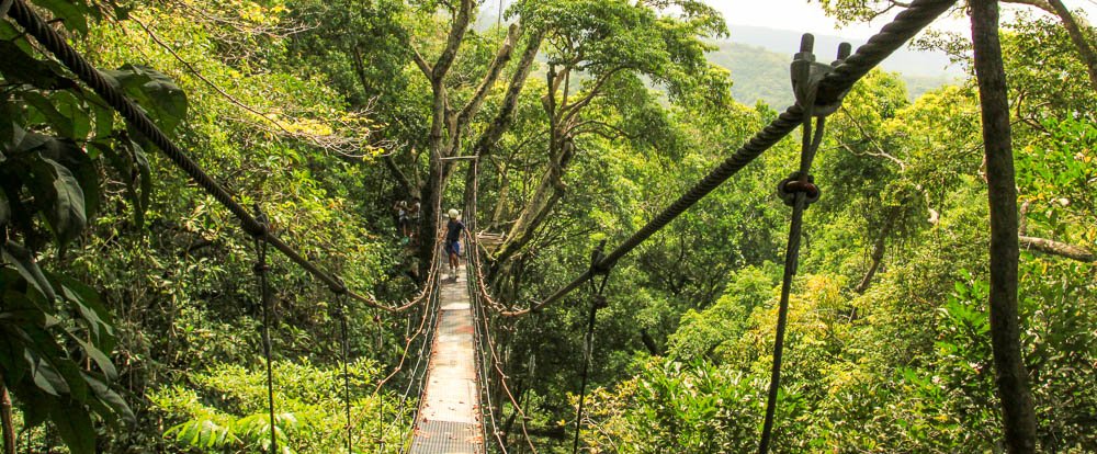 chiclets canopy tour suspension bridge 
 - Costa Rica